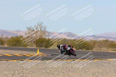 media/Mar-12-2023-SoCal Trackdays (Sun) [[d4c8249724]]/Turn 3 Speed Pans (1115am)/